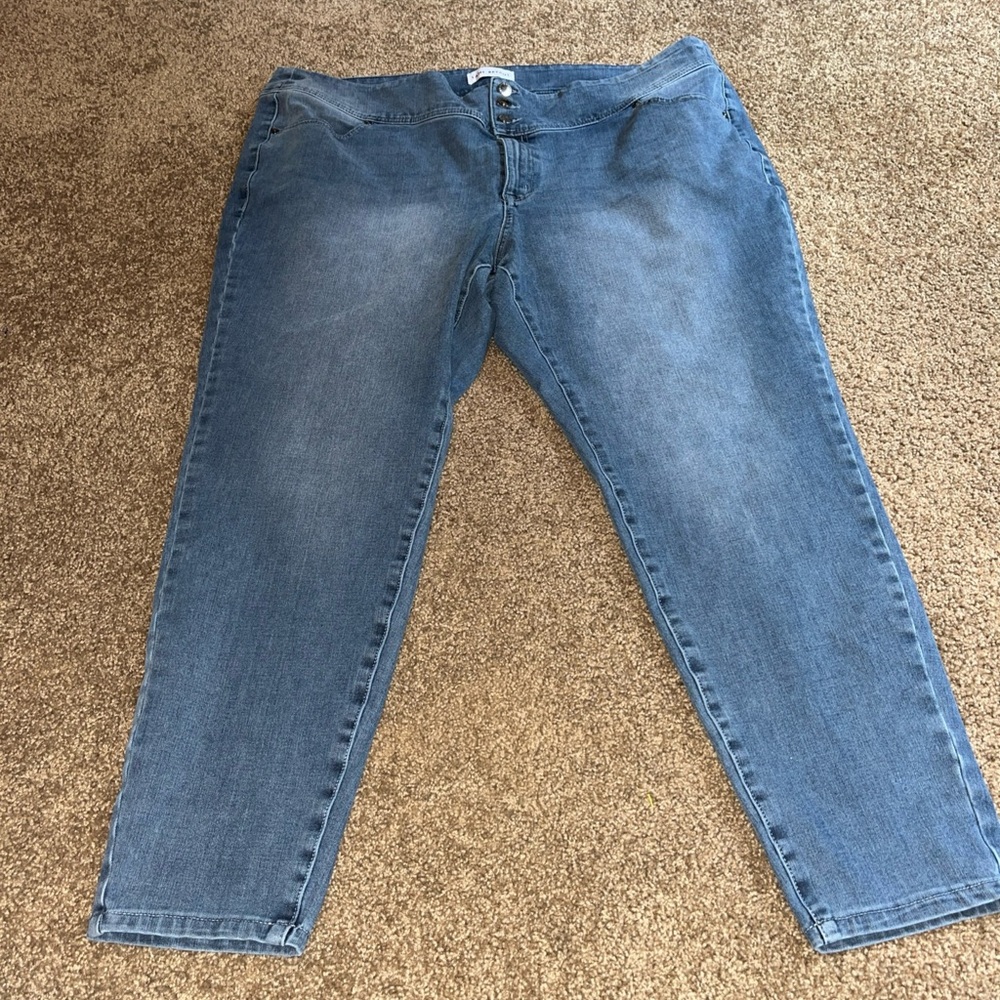Lane Bryant Blue Cropped Jeans size 24